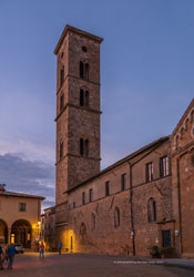  volterra